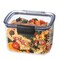 Progressive International ProKeeper+ Airtight Tall Deli Storage Container, Clear Plastic